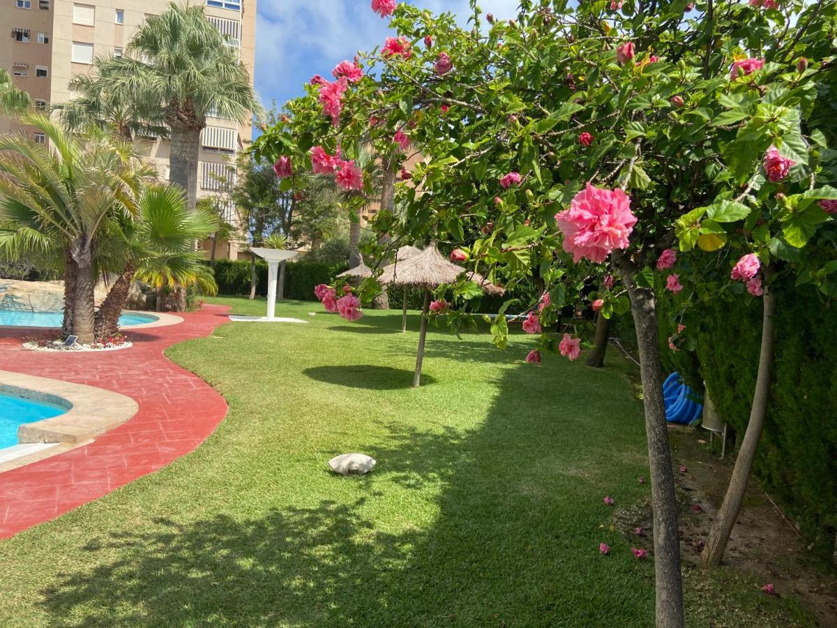 Alicante Apartamento En La Playa Muchavista-San Juan - Marluma Frente Al Mar La Venteta エクステリア 写真